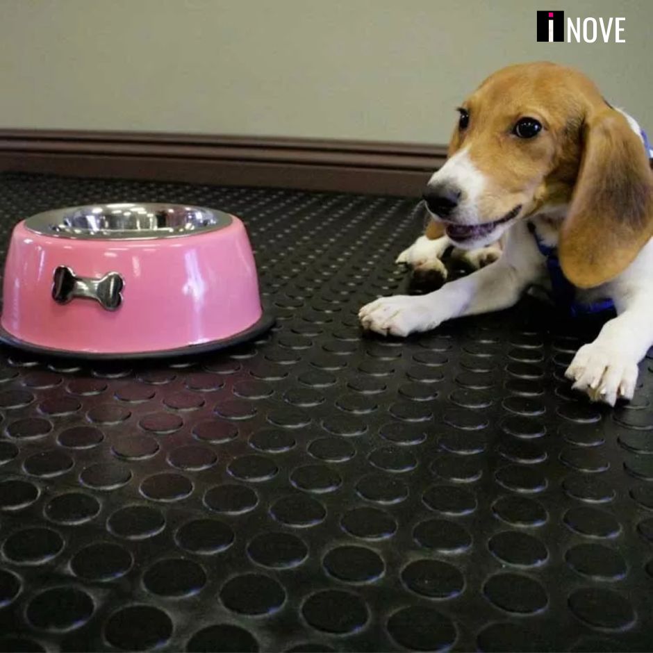 piso-laminado-moeda-preto-laminado-antiderrapnte-para-pets